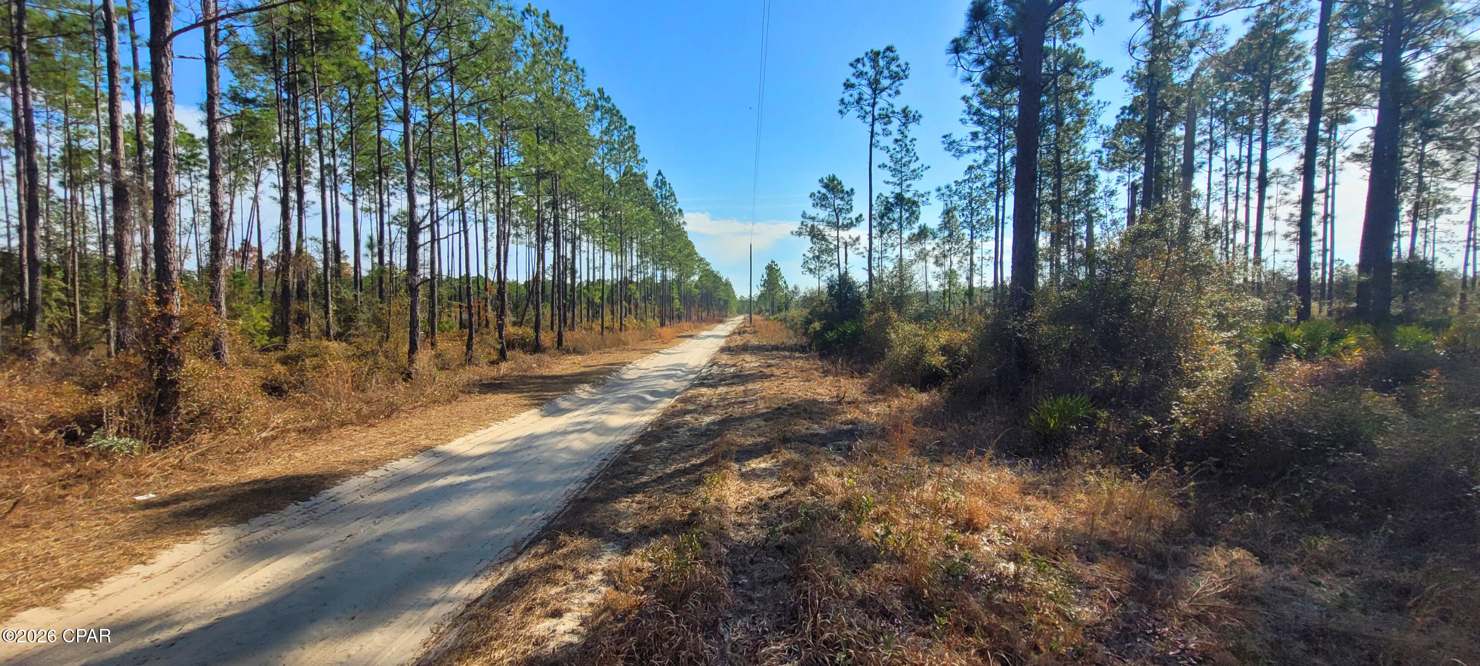 0 Cherokee Road Altha, FL 32421 - Photo 9 of 13