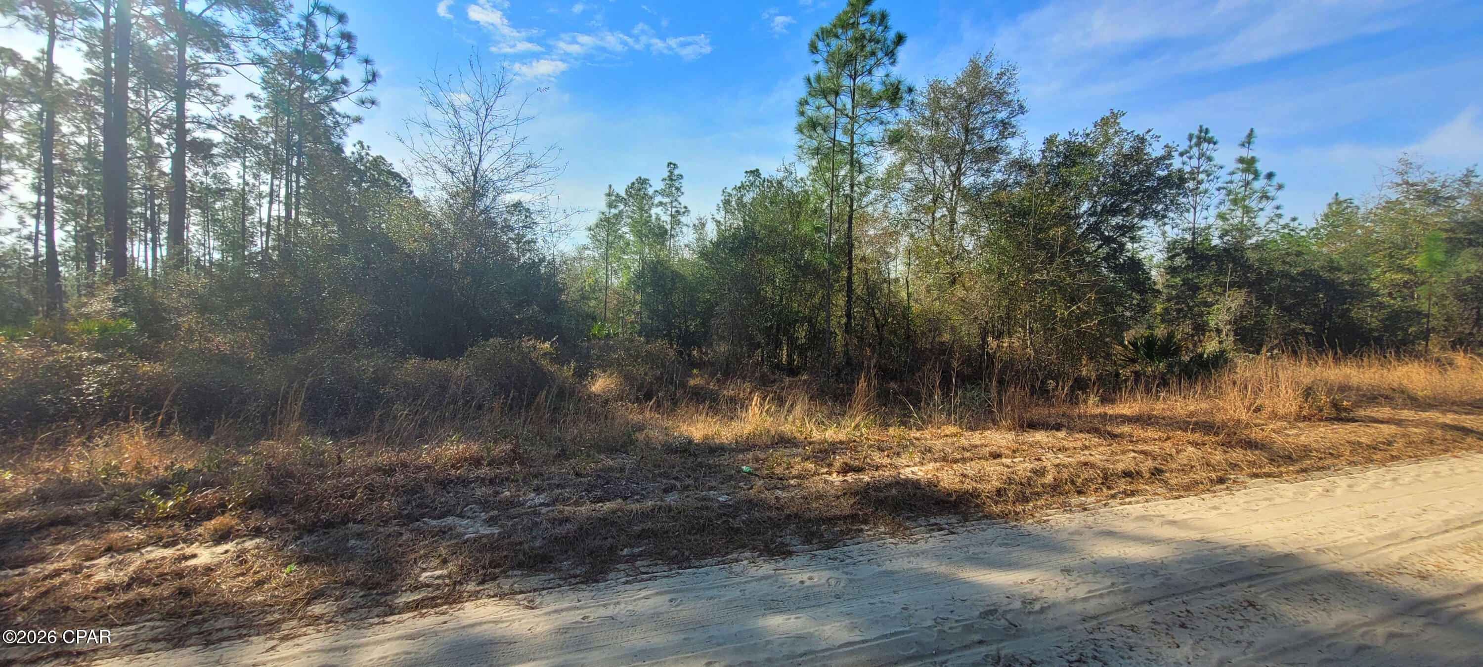 0 Cherokee Road Altha, FL 32421 - Photo 10 of 13