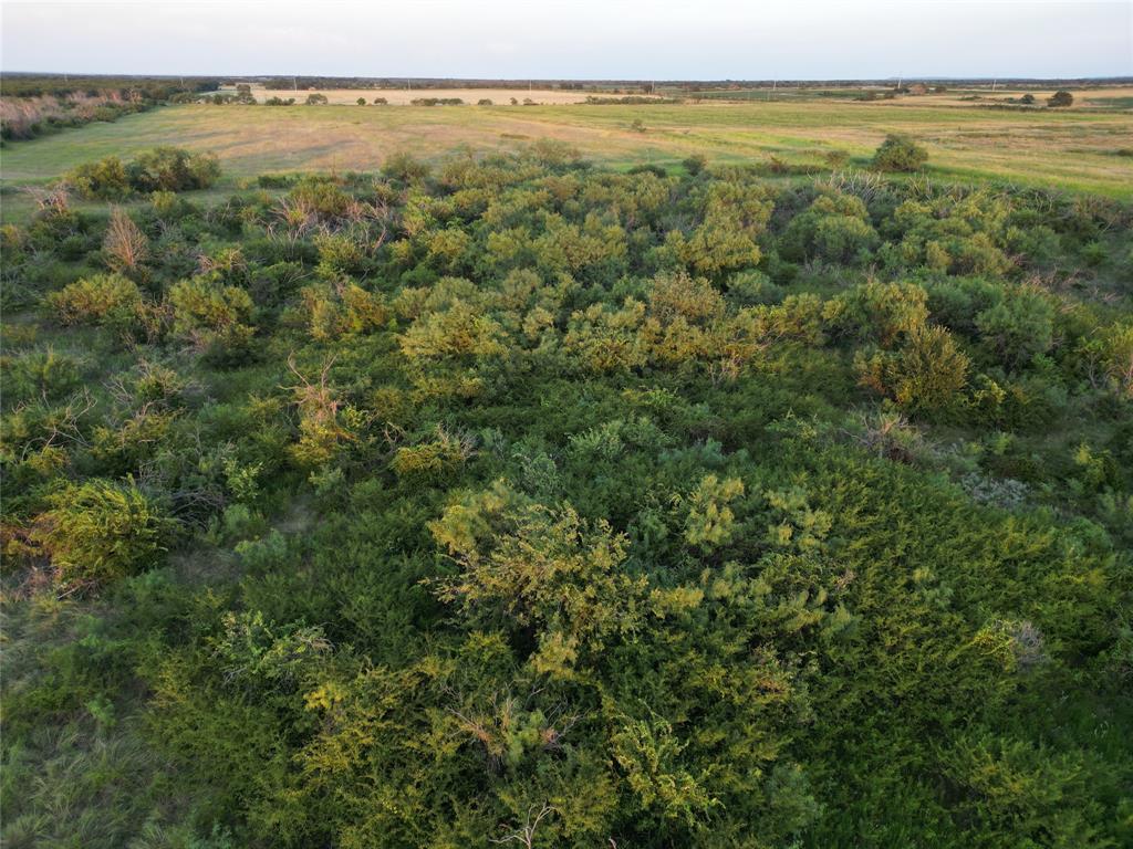 1448 County Road 129 Rising Star, TX 76471 - Photo 20 of 31 Gallery Image 20