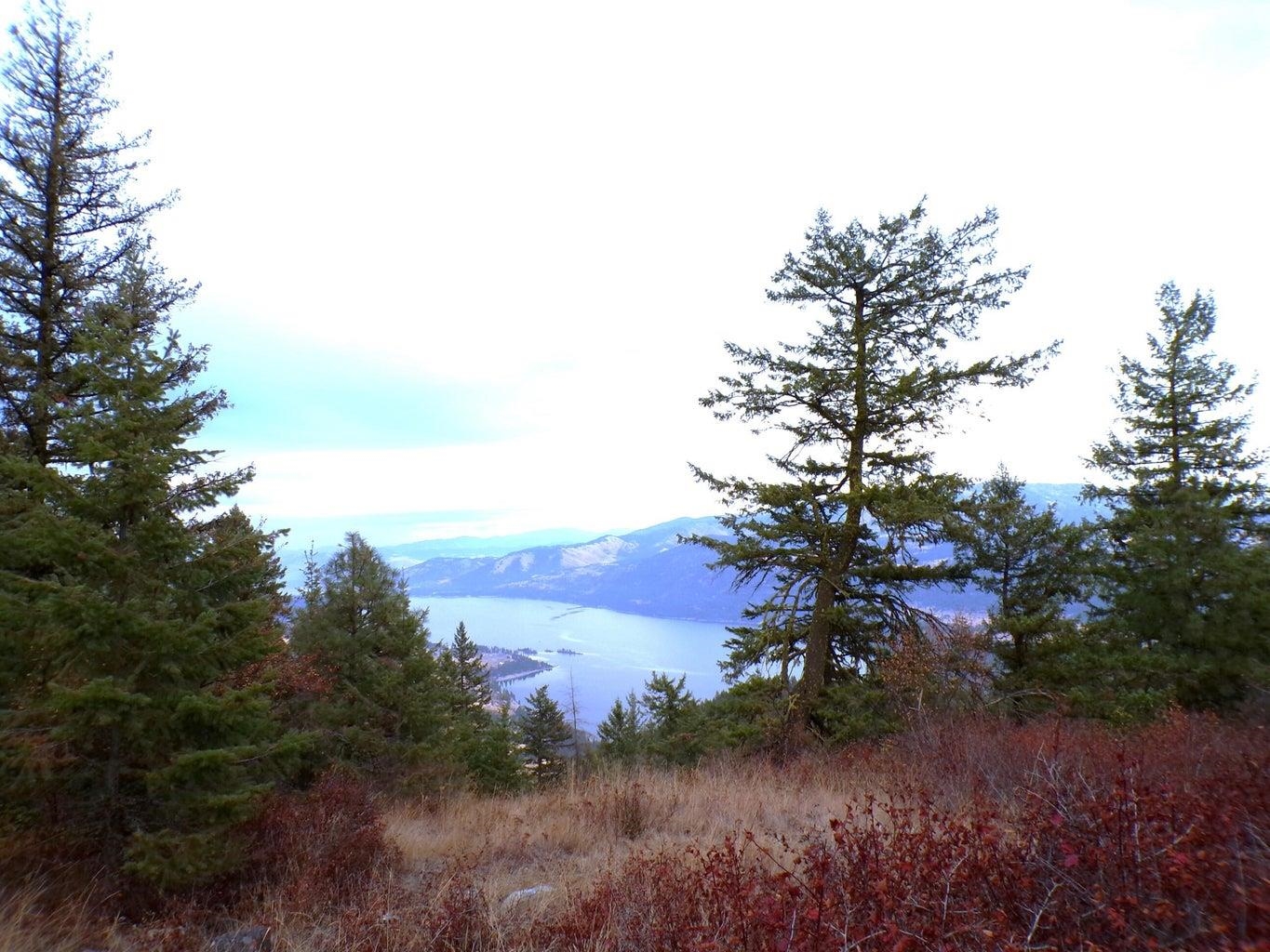N North Morning Star Lane Inchelium, WA 99138 - Photo 1 of 12 Gallery Image 1