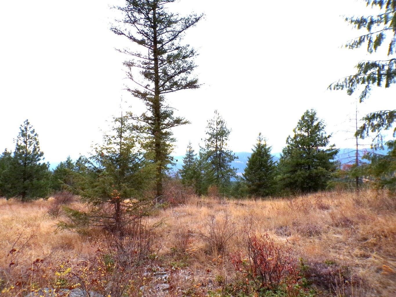 N North Morning Star Lane Inchelium, WA 99138 - Photo 5 of 12 Gallery Image 5