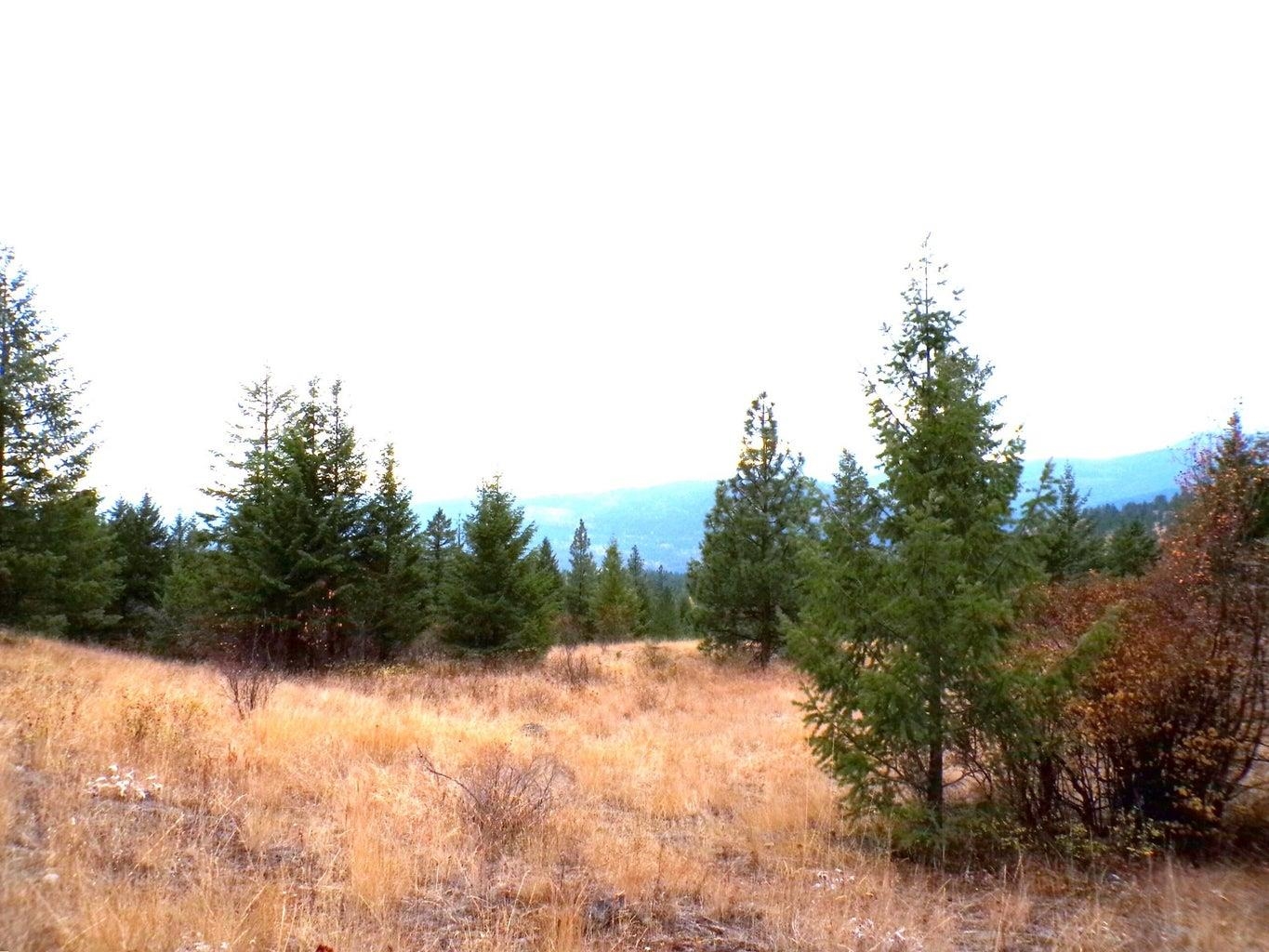 N North Morning Star Lane Inchelium, WA 99138 - Photo 6 of 12 Gallery Image 6