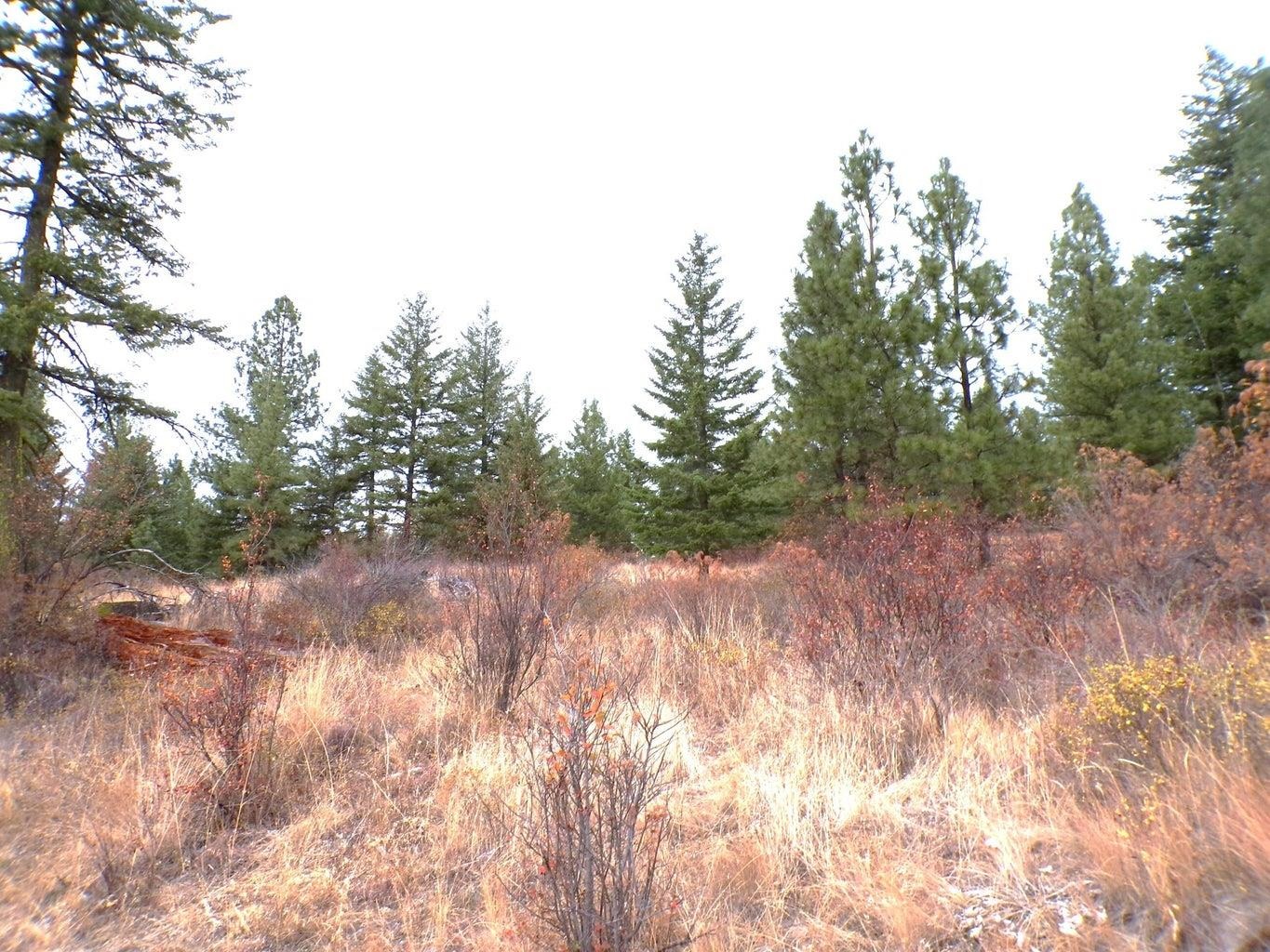 N North Morning Star Lane Inchelium, WA 99138 - Photo 8 of 12 Gallery Image 8
