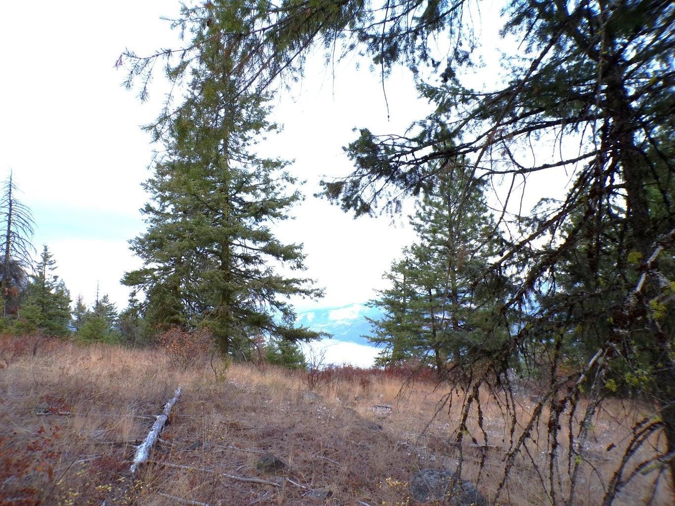 N North Morning Star Lane Inchelium, WA 99138 - Photo 10 of 12 Gallery Image 10