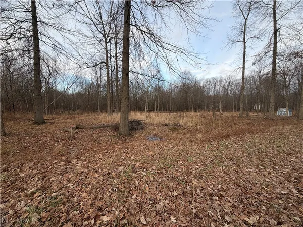 $40,000 | West Nevada Avenue, Sebring, OH 44672