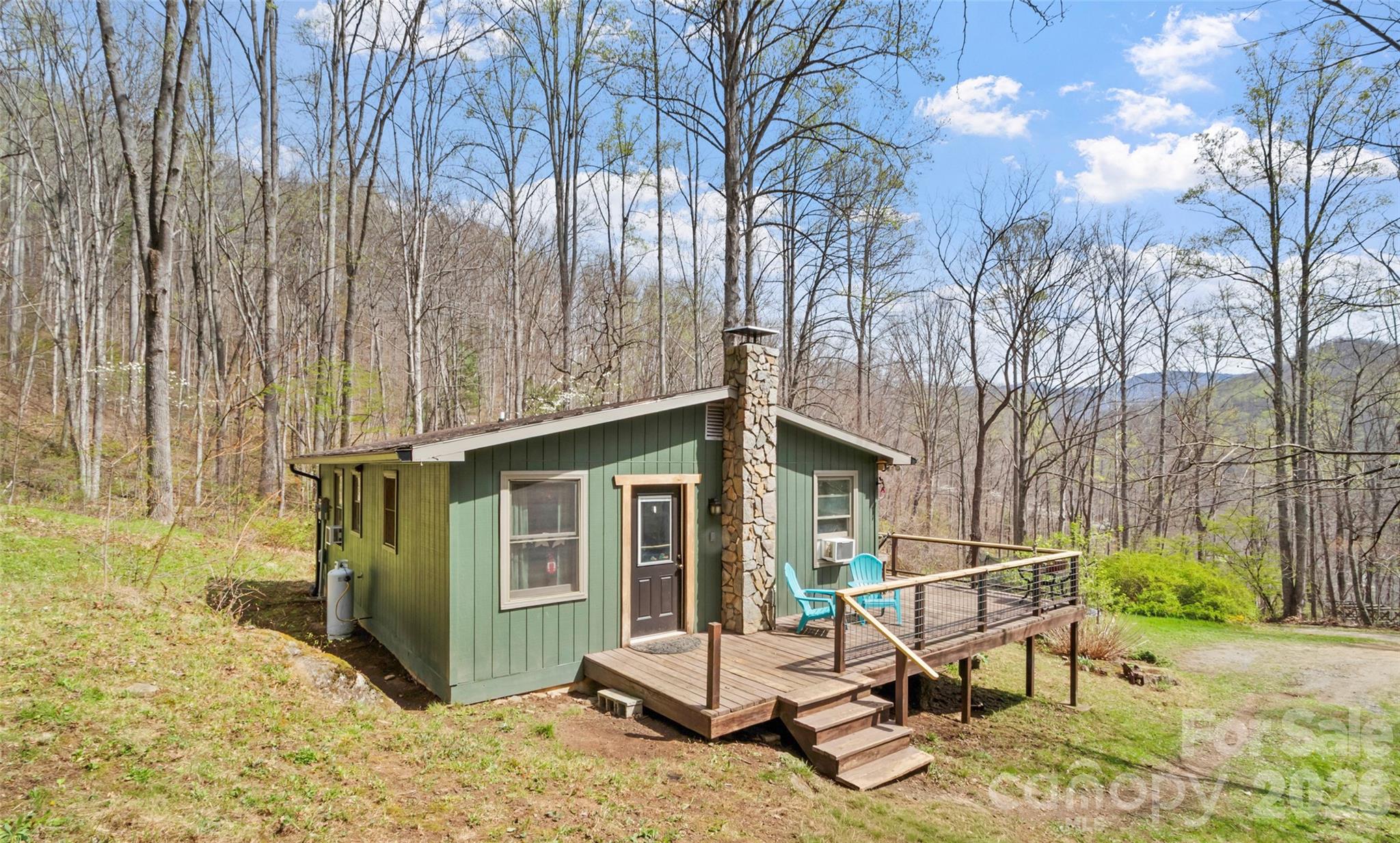 183 Stoney Fork Road Barnardsville, NC 28709 - Photo 9 of 34