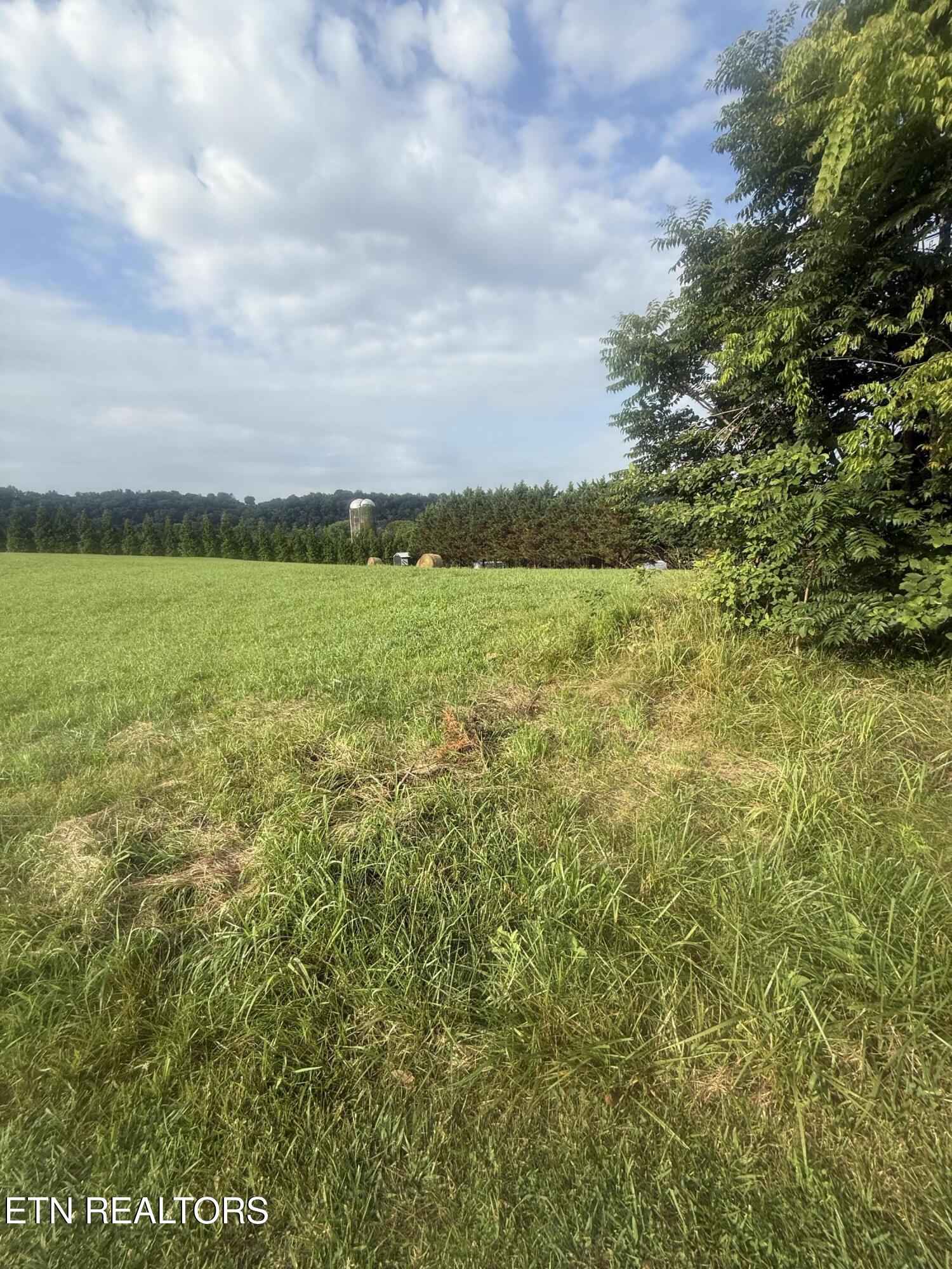 Holston Acres Rutledge, TN 37861 - Photo 5 of 5 IMG_6644
