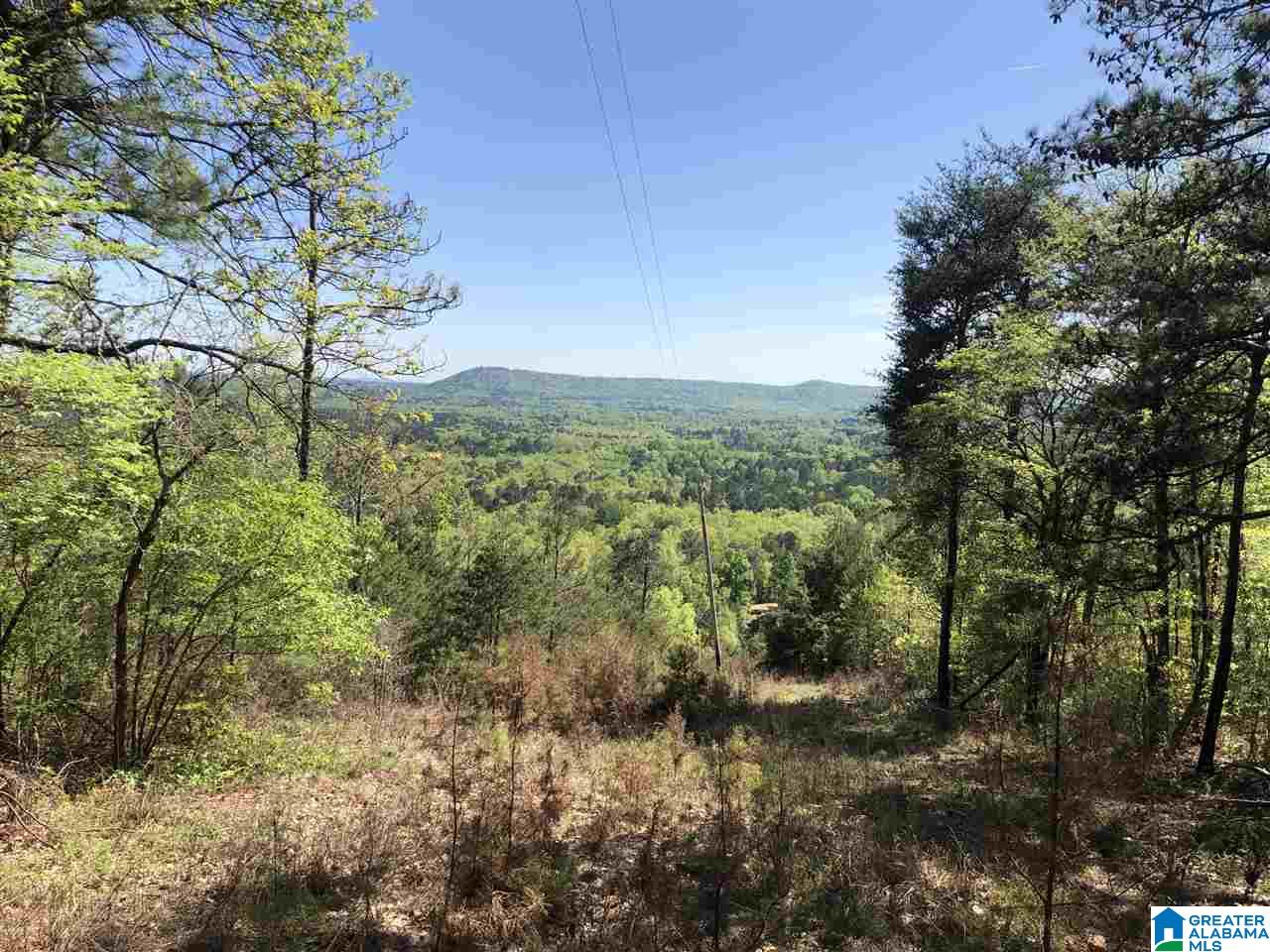 1234 High Road, Unit 1 Columbiana, AL 35051 - Photo 32 of 38