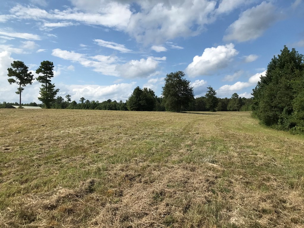 2499 Wire Road Thomson, GA 30824 - Photo 3 of 24