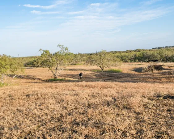 a view of a backyard with pathway