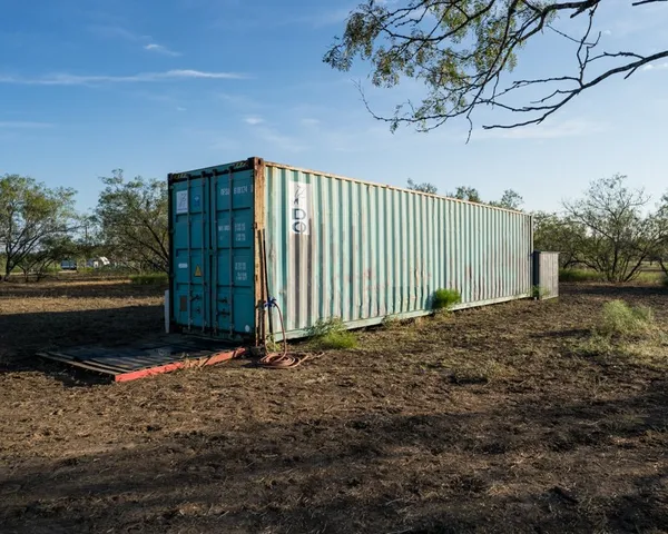 a view of a forest that has a tree