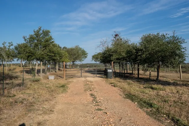 a view of a lake with a trees