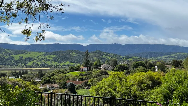 a view of a lush green field