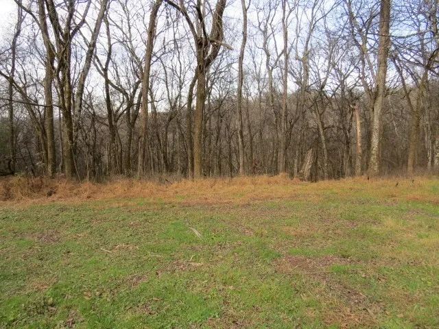 a view of outdoor space and trees
