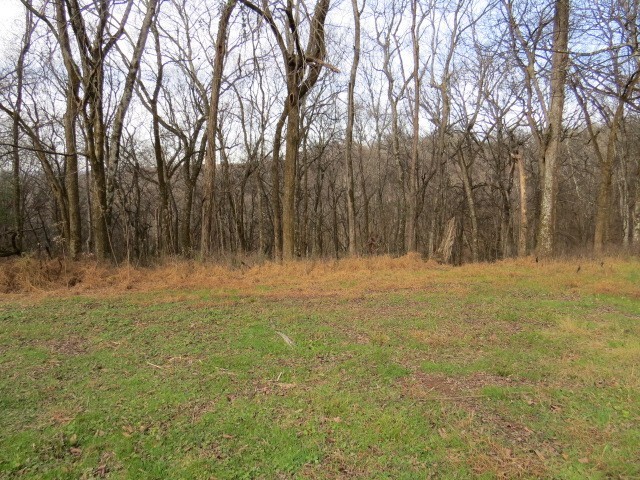 958 Dollar Hollow Road Pulaski, TN 38478 - Photo 3 of 7 a view of outdoor space and trees