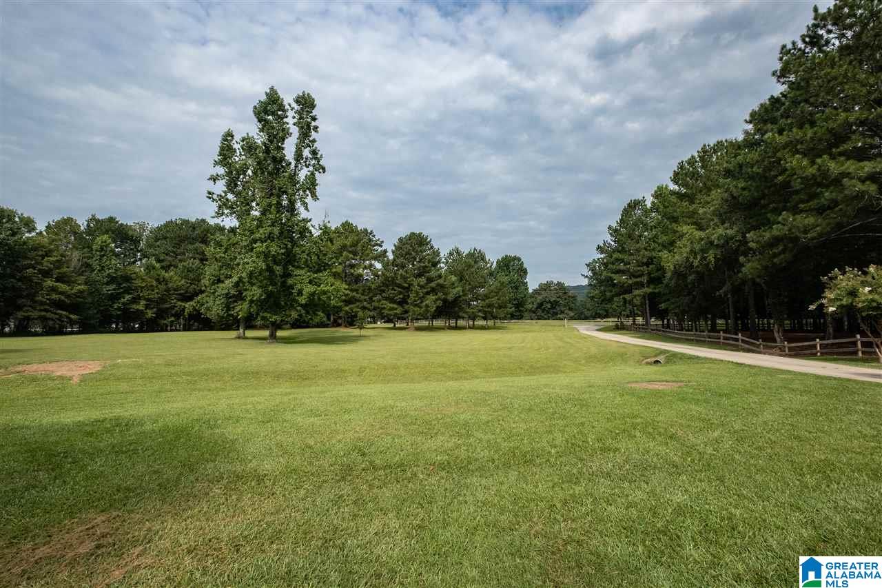 2624 Murphrees Valley Road Springville, AL 35146 - Photo 47 of 50