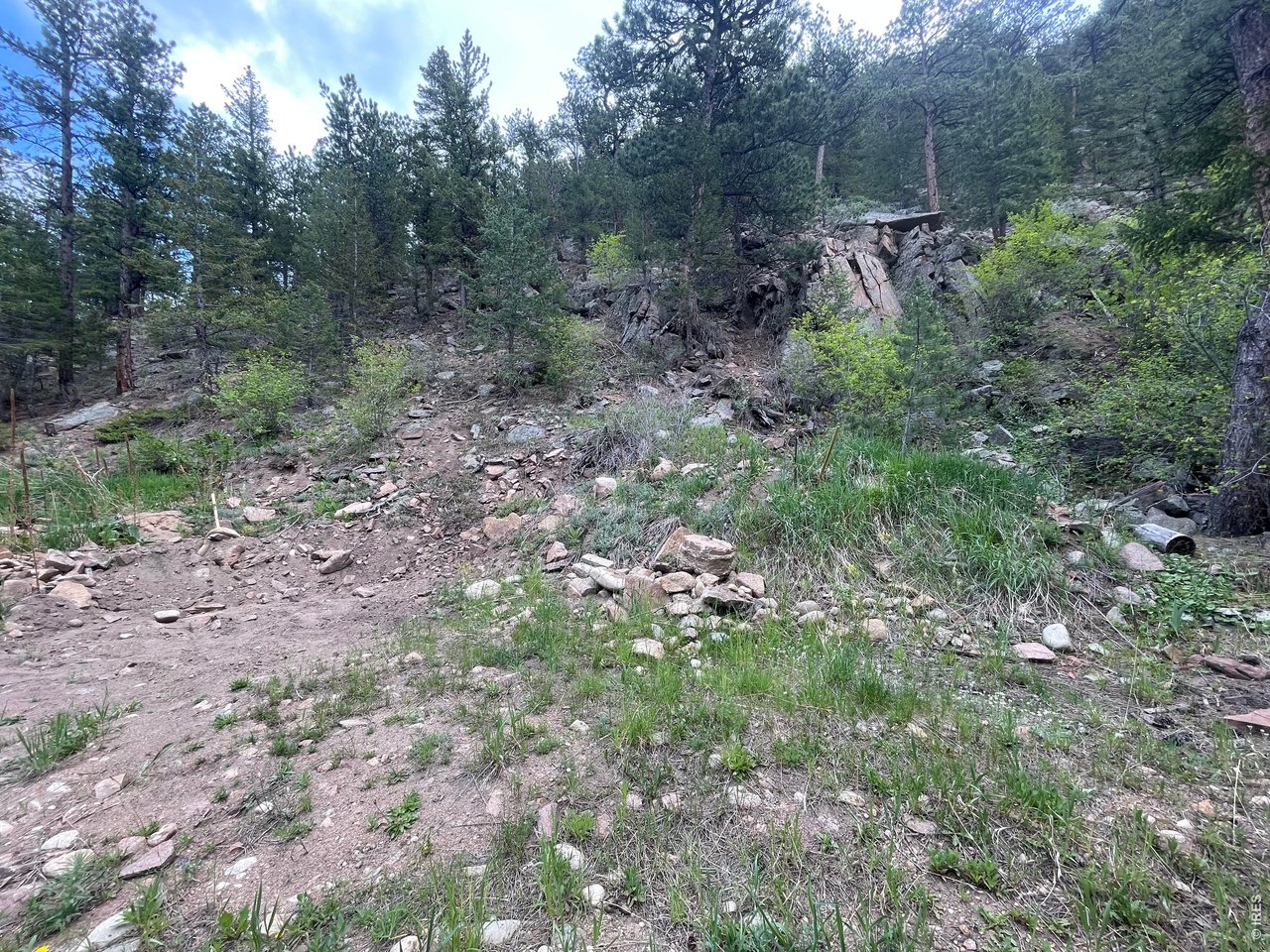 555 Riverside Drive Lyons, CO 80540 - Photo 2 of 3