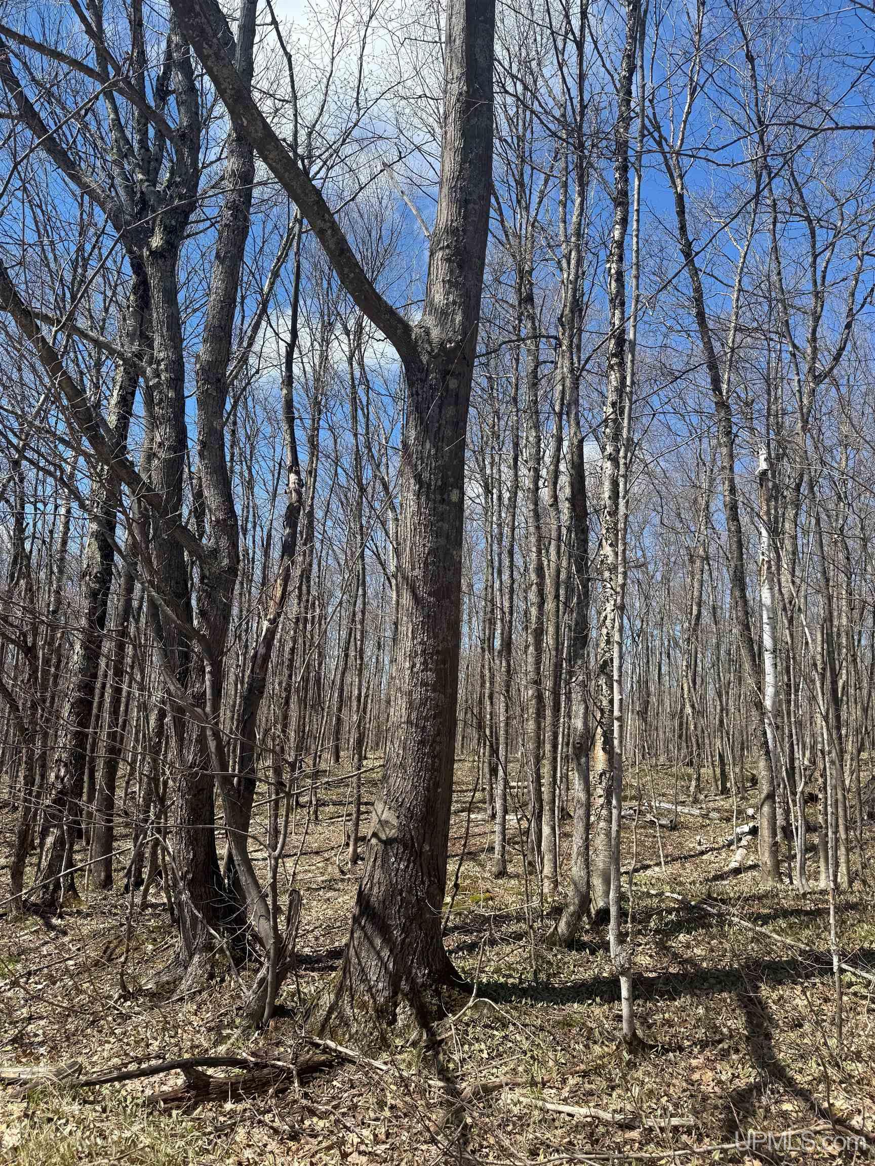 Tbd Victoria Dam Road Rockland, MI 49960 - Photo 7 of 22