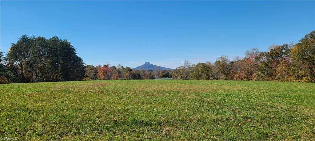 1274 Hill Road King, NC 27021 - Photo 11 of 39