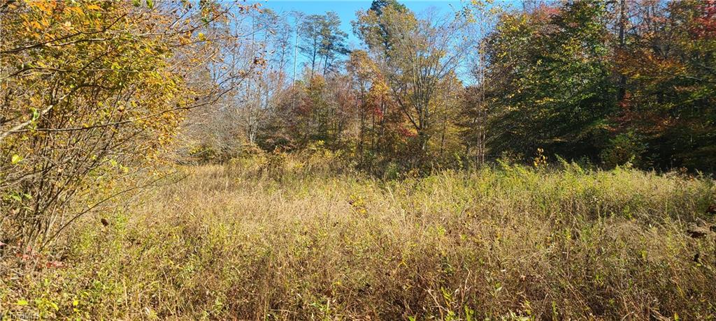 1274 Hill Road King, NC 27021 - Photo 12 of 39