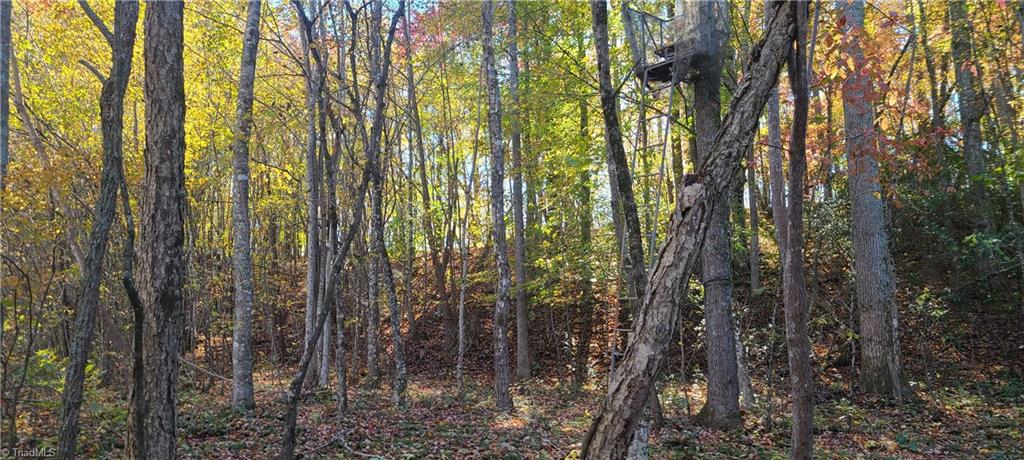 1274 Hill Road King, NC 27021 - Photo 20 of 39 Additional lot may be added.