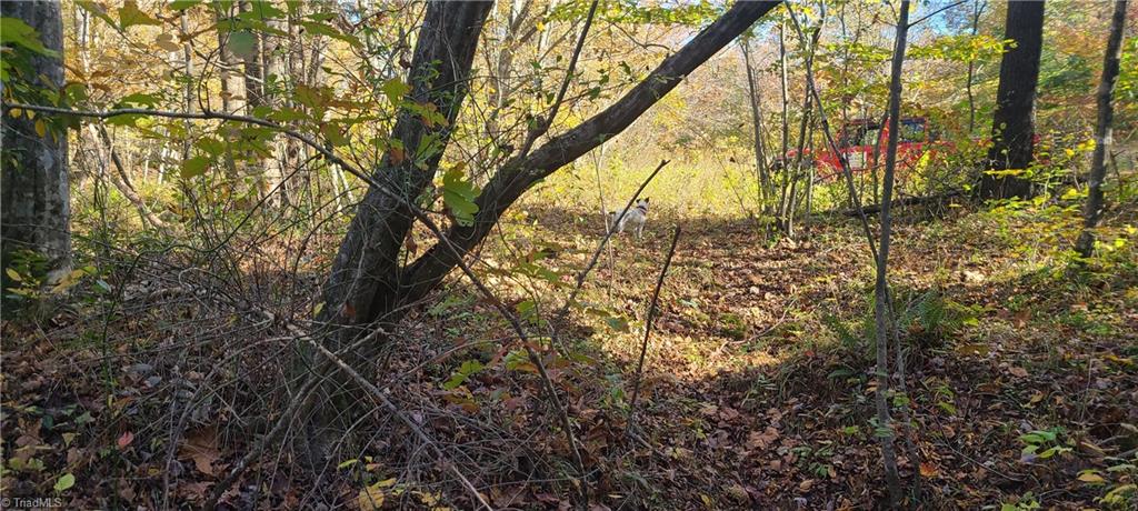 1274 Hill Road King, NC 27021 - Photo 21 of 39