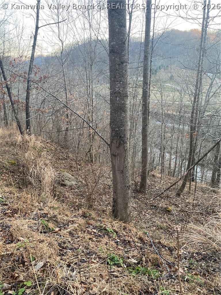 Tbd Fair Chance Road Danville, WV 25053 - Photo 18 of 20 Gallery Image 18