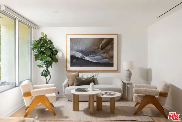 a living room with furniture a rug and a potted plant