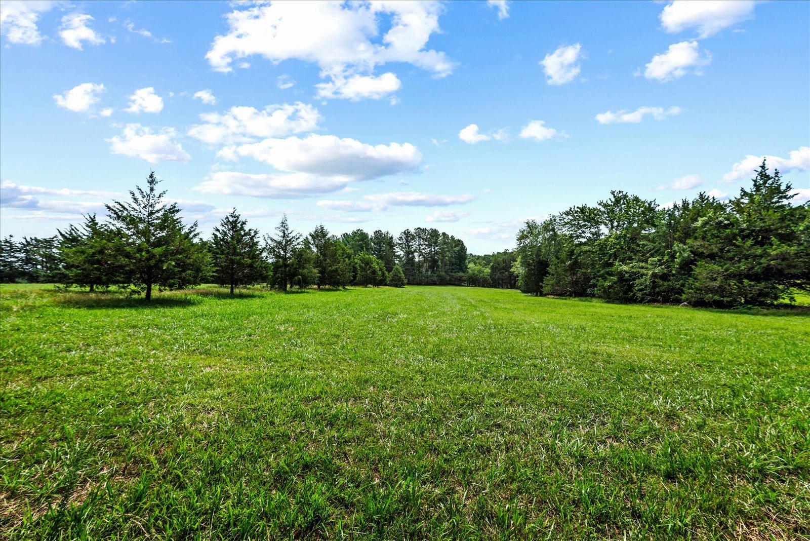 31934 Indiantown Road Locust Grove, VA 22508 - Photo 64 of 84 Multiple Fenced Pastures bordered by trees