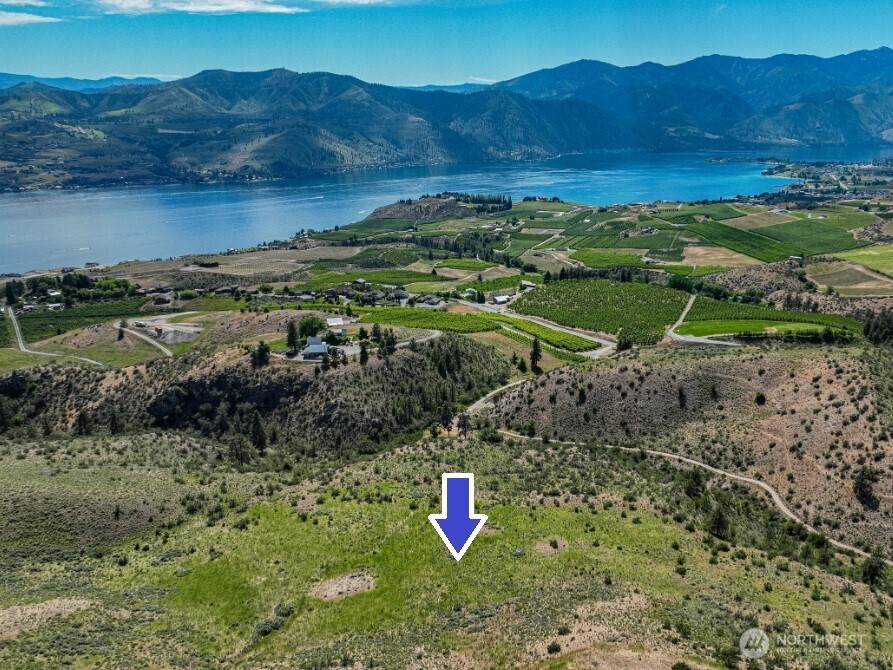 215 Chelan Ranch Road Chelan, WA 98816 - Photo 3 of 6 a view of a lush green hillside and a houses
