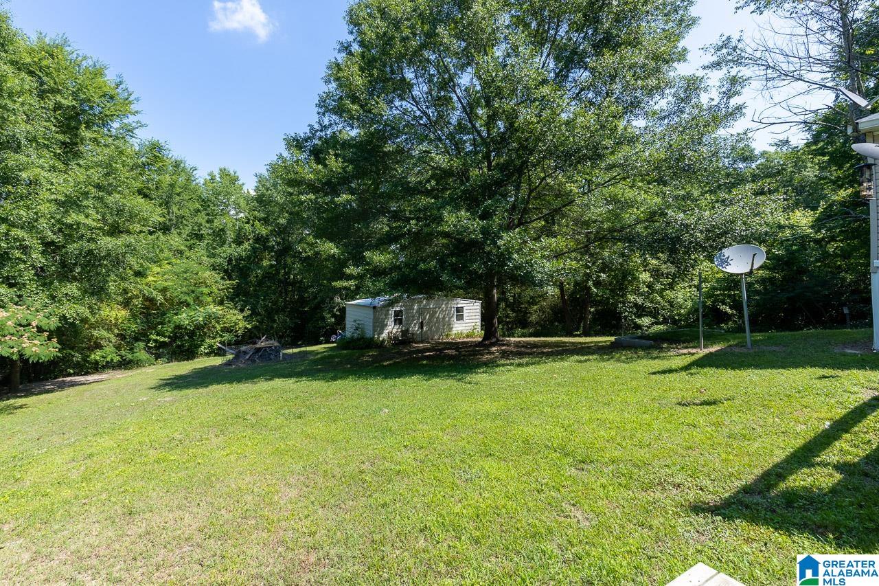 344 Warrior Pass Hayden, AL 35079 - Photo 29 of 33