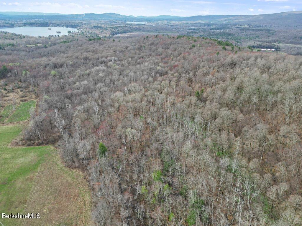 10 Goodell Road Lanesborough, MA 01237 - Photo 63 of 67 a view of a dry field