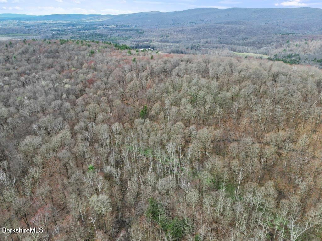 10 Goodell Road Lanesborough, MA 01237 - Photo 65 of 67 172 Aerial View