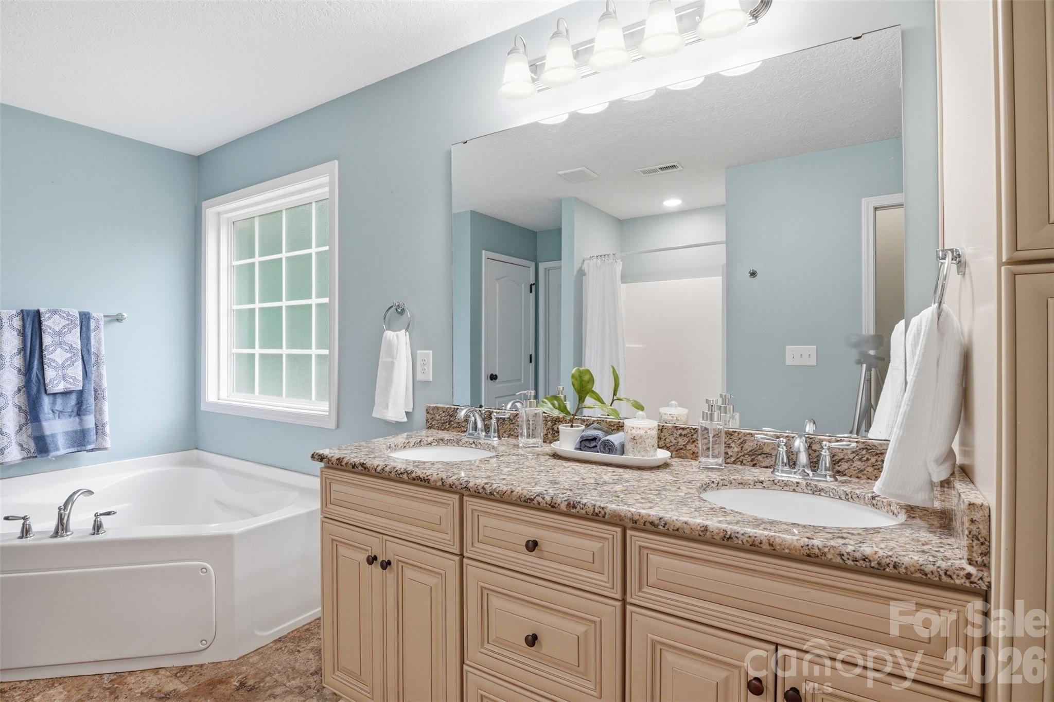 810 Tirzah Road York, SC 29745 - Photo 16 of 29 a bathroom with a granite countertop bathtub a sink and a window