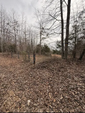 $65,000 | 1975 Dogwood Road, Hurricane Mills, TN 37078