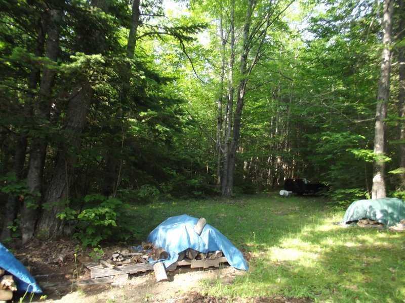 250 Arthur Allen Road Sumner, ME 04292 - Photo 12 of 34 Yard/Garden.