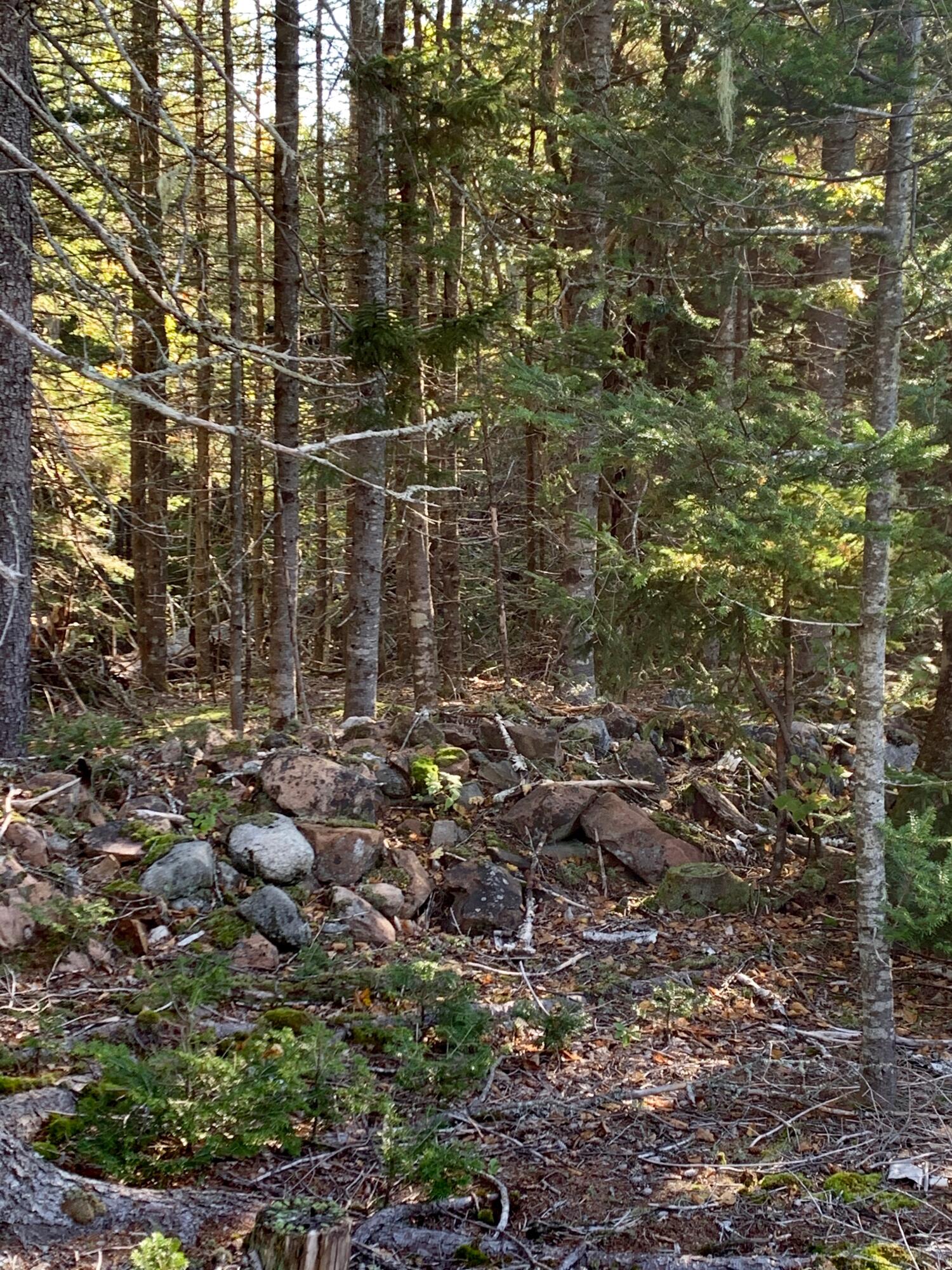 Lot 14 Off Steam Mill Road Robbinston, ME 04671 - Photo 44 of 67 IMG_2927