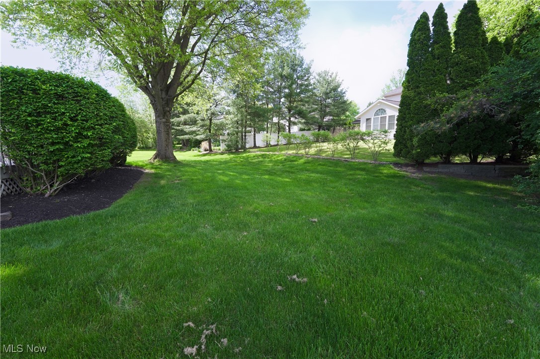 817 Rickel Circle Akron, OH 44333 - Photo 5 of 49 View of grassy yard