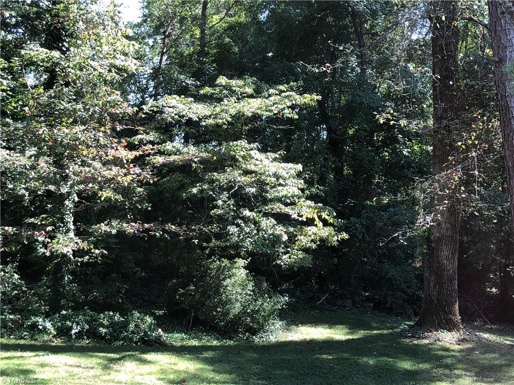 7309 Davis Country Road Randleman, NC 27317 - Photo 14 of 19