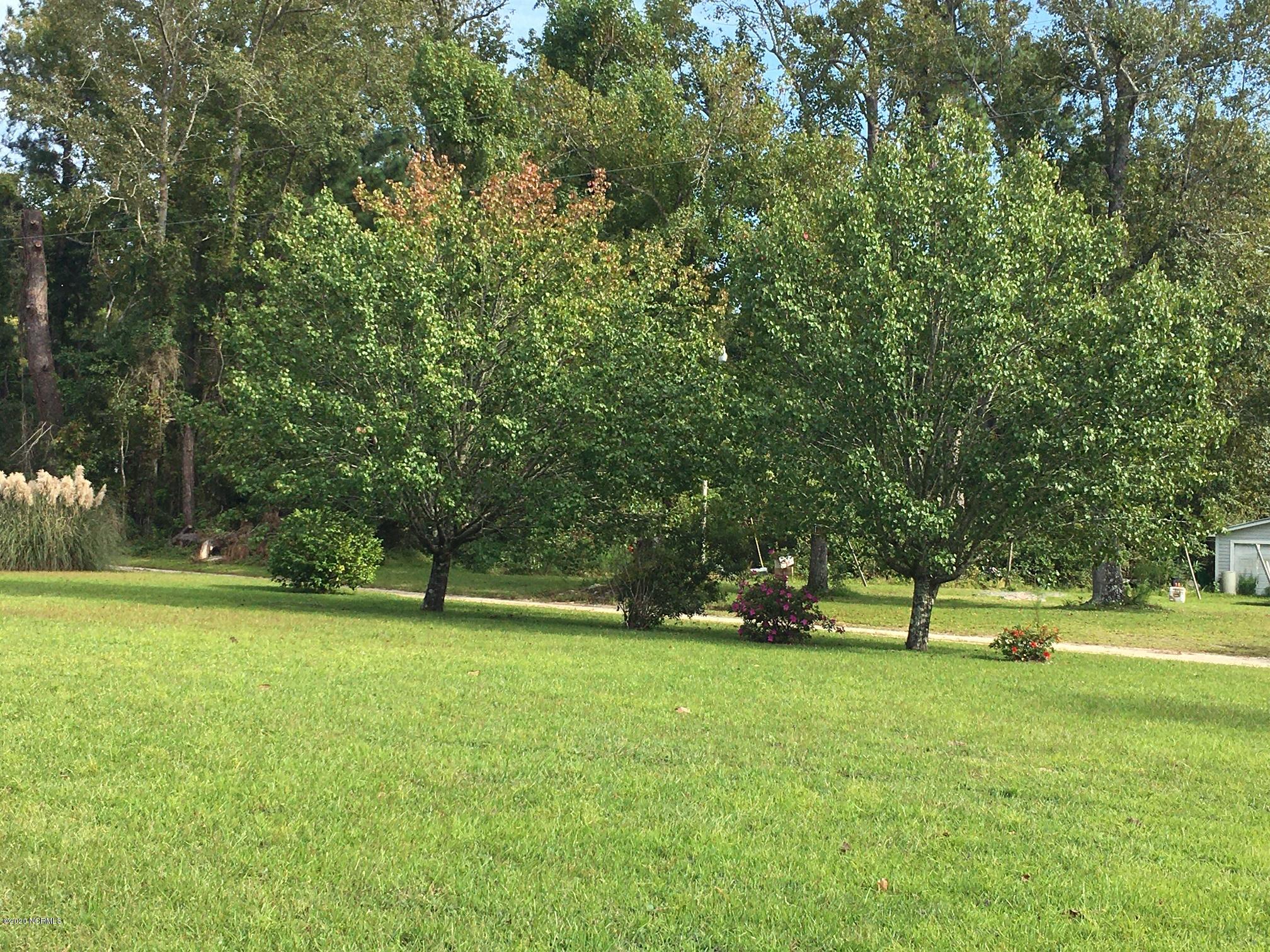 225 Ingram Road Beaufort, NC 28516 - Photo 3 of 31 Front Yard