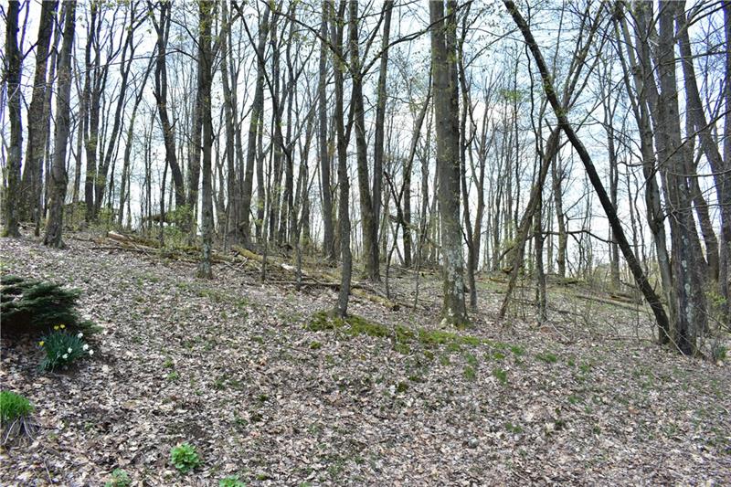 102 Moore Road Butler, PA 16001 - Photo 14 of 18 Beautiful wooded lot