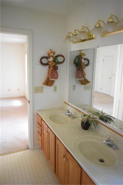 102 Moore Road Butler, PA 16001 - Photo 9 of 18 Double sink in master bath