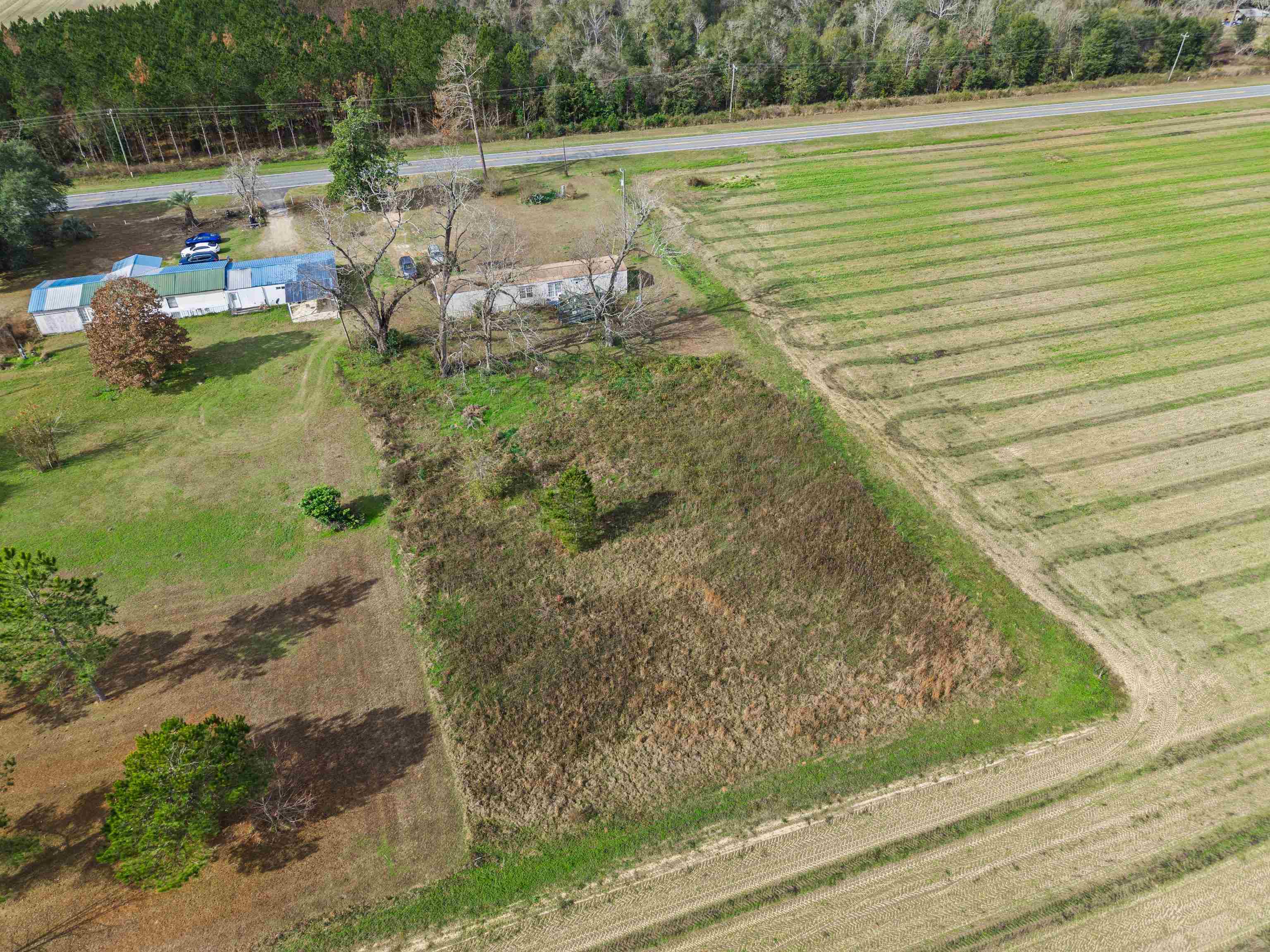 5350 Basswood Road Bascom, FL 32423 - Photo 6 of 14