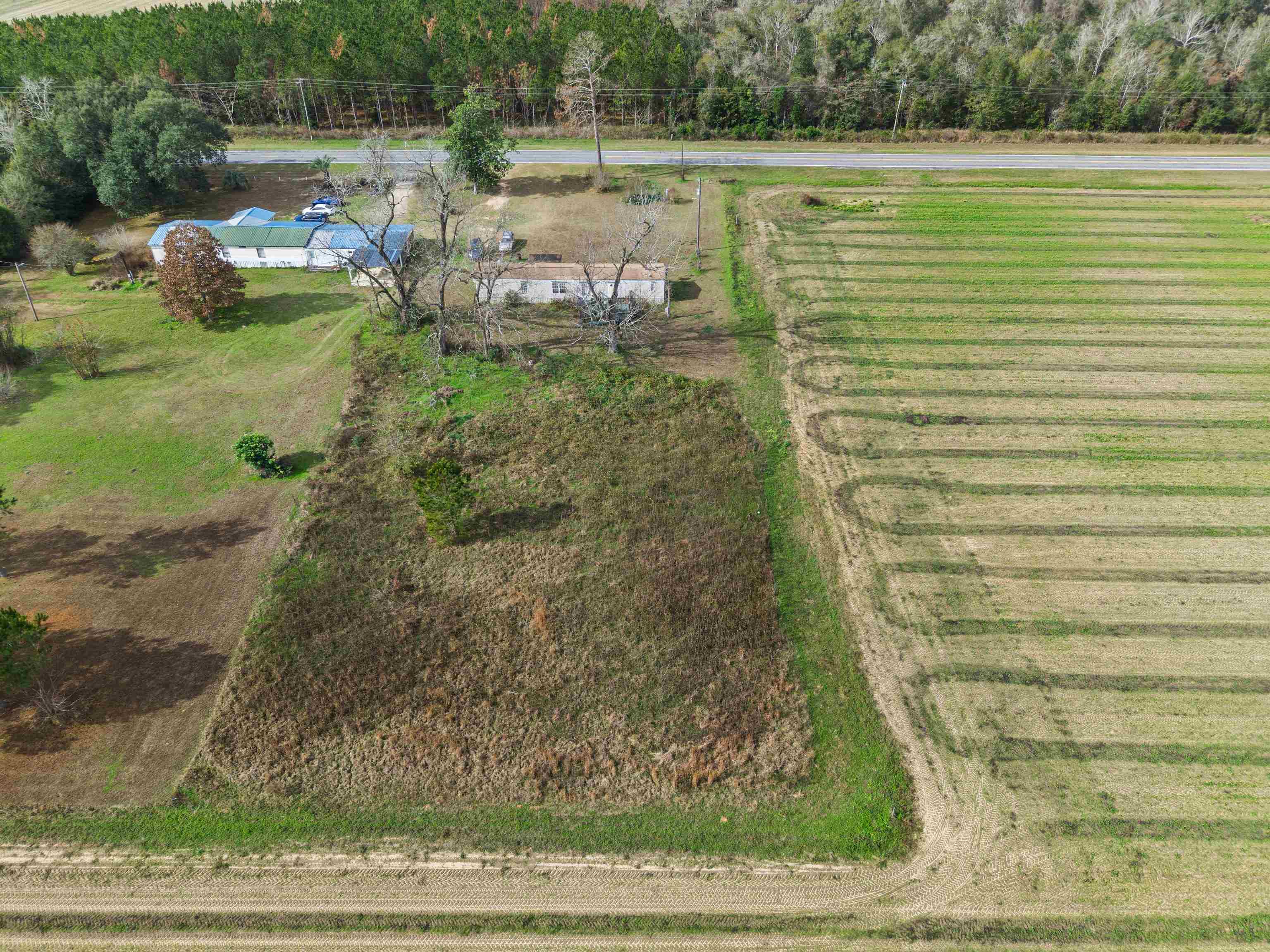 5350 Basswood Road Bascom, FL 32423 - Photo 7 of 14