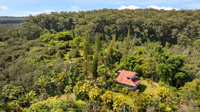 a picture of city view