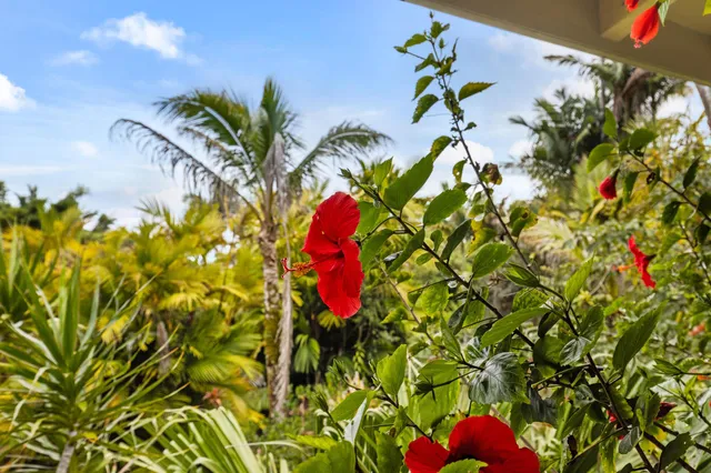 a view of an outdoor space and a yard