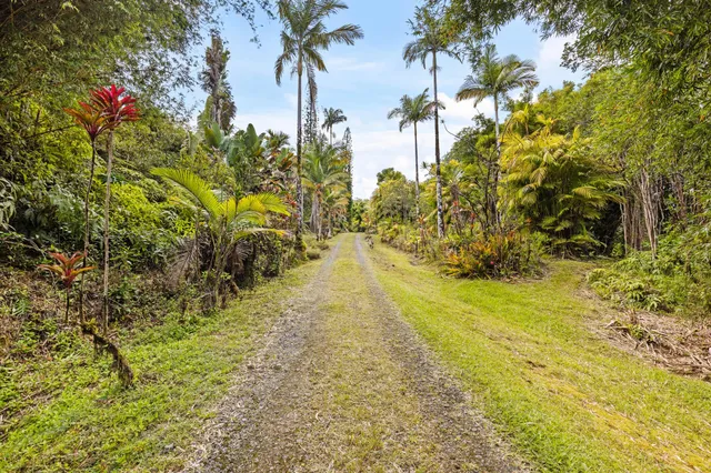 a view of yard with trees