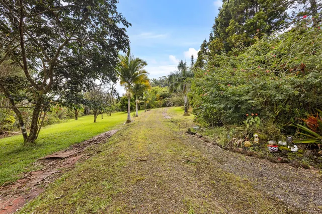 a view of a lake with a tree