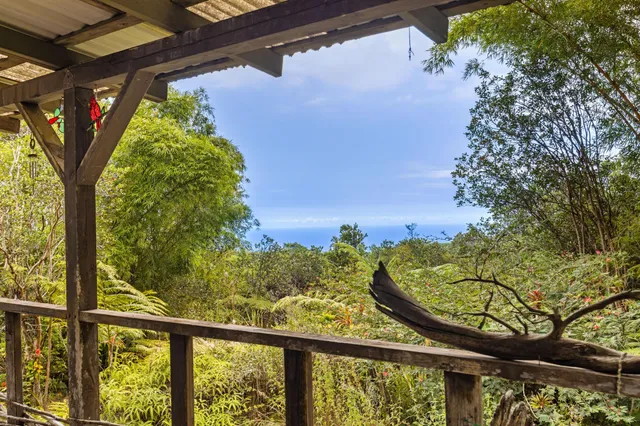 a view of yard with trees