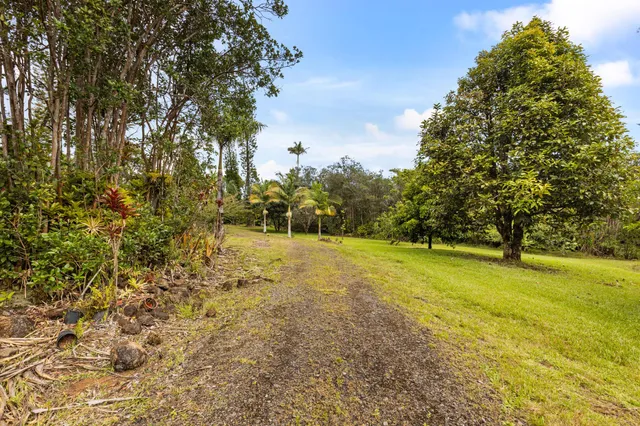 a view of multi story tree